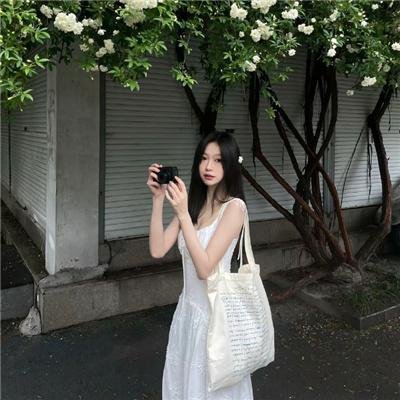 迷途之犬