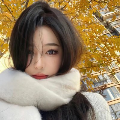 紫禁秘录
