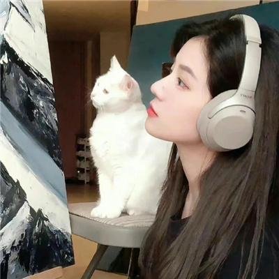 婚迷指数：5